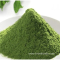 High purity dehydrated spinach powder